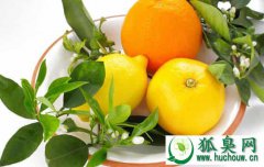 柠檬可以去狐臭吗 夏日推荐柠檬治狐臭的偏方
